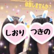 ヒメ日記 2025/07/16 12:45 投稿 つきの 麗（れい）