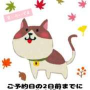 ヒメ日記 2025/09/04 16:29 投稿 つきの 麗（れい）