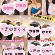 ヒメ日記 2025/11/03 12:21 投稿 つきの 麗（れい）