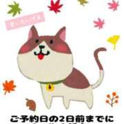 ヒメ日記 2025/11/11 19:37 投稿 つきの 麗（れい）