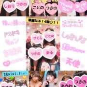 ヒメ日記 2026/02/04 12:23 投稿 つきの 麗（れい）