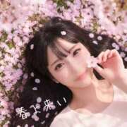 ヒメ日記 2026/03/10 12:43 投稿 つきの 麗（れい）