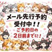 ヒメ日記 2026/04/02 10:22 投稿 つきの 麗（れい）