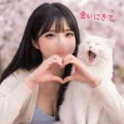 ヒメ日記 2026/04/07 17:17 投稿 つきの 麗（れい）