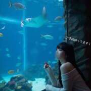 つきの あす！4/25(土)のご予約はお電話にて！ 麗（れい）