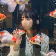 ヒメ日記 2026/06/16 17:14 投稿 つきの 麗（れい）