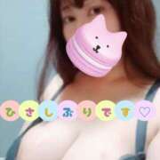 ヒメ日記 2025/05/04 12:01 投稿 ソフィア プラザ２