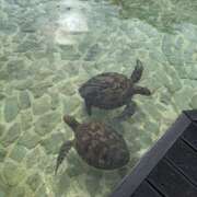 ヒメ日記 2025/11/08 09:47 投稿 なつみ プラザ２