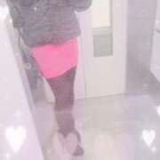 ヒメ日記 2024/12/19 18:48 投稿 ゆうき 若妻淫乱倶楽部