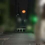 ヒメ日記 2025/11/03 02:51 投稿 ゆうき 若妻淫乱倶楽部