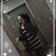 ヒメ日記 2025/11/24 04:01 投稿 ゆうき 若妻淫乱倶楽部