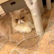 ヒメ日記 2025/09/29 15:34 投稿 ゆうき 若妻淫乱倶楽部 久喜店