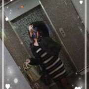 ヒメ日記 2025/11/24 03:53 投稿 ゆうき 若妻淫乱倶楽部 久喜店