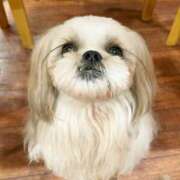 ヒメ日記 2024/12/21 18:33 投稿 そら TALENT（タレント）