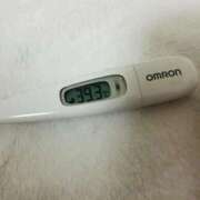 ヒメ日記 2025/01/17 21:53 投稿 ぱふ ぷるるん小町梅田店