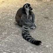 ヒメ日記 2025/02/06 08:11 投稿 ぱふ ぷるるん小町梅田店