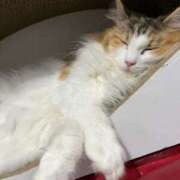 ヒメ日記 2025/02/27 14:48 投稿 ぱふ ぷるるん小町梅田店