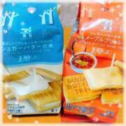 ヒメ日記 2026/03/12 03:33 投稿 朝倉ここみ 厚木OL委員会