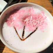 ヒメ日記 2026/03/13 19:02 投稿 このは 熟女家 豊中蛍池店