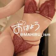 ヒメ日記 2024/12/11 08:00 投稿 まひる ニューヨーカー