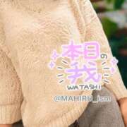 ヒメ日記 2024/12/15 17:18 投稿 まひる ニューヨーカー