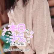 ヒメ日記 2024/12/17 19:54 投稿 まひる ニューヨーカー