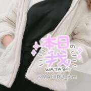 ヒメ日記 2024/12/19 19:49 投稿 まひる ニューヨーカー