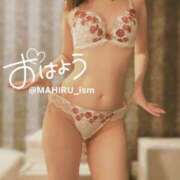 ヒメ日記 2026/02/25 07:57 投稿 まひる ニューヨーカー