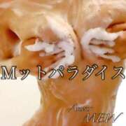 ヒメ日記 2024/12/13 12:05 投稿 ミュウ AMOUR（アムール）