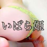 ヒメ日記 2025/01/16 07:01 投稿 ミュウ AMOUR（アムール）