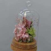 ヒメ日記 2025/06/17 22:42 投稿 わかば 丸妻 横浜本店