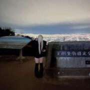 ヒメ日記 2026/01/02 17:52 投稿 キララ にゃんだ☆full☆MIX（にゃんだふるみっくす）