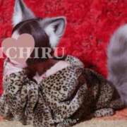 ヒメ日記 2026/01/10 20:51 投稿 ミチル ソープランド マックス