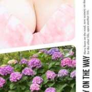 ヒメ日記 2025/06/21 07:12 投稿 あゆ 完熟ばなな千葉店