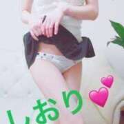 ヒメ日記 2026/03/16 13:15 投稿 しおり 桃色奥様 松戸本店