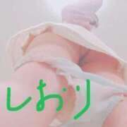 ヒメ日記 2026/06/29 13:07 投稿 しおり 桃色奥様 松戸本店