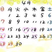 ヒメ日記 2024/04/14 11:20 投稿 ねろ わちゃわちゃ密着リアルフルーちゅ西船橋