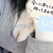 ヒメ日記 2026/02/28 15:18 投稿 ねろ わちゃわちゃ密着リアルフルーちゅ西船橋