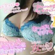 ヒメ日記 2025/02/18 15:20 投稿 ひろか 風俗の神様　浜松店