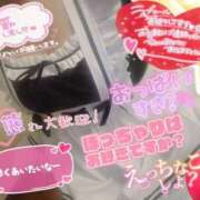 ヒメ日記 2025/03/10 08:20 投稿 ひろか 風俗の神様　浜松店