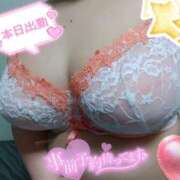 ヒメ日記 2025/08/21 09:56 投稿 ひろか 風俗の神様　浜松店