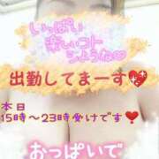 ヒメ日記 2025/07/11 15:28 投稿 木戸（きど） 西川口デッドボール