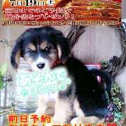 ヒメ日記 2025/07/15 14:18 投稿 木戸（きど） 西川口デッドボール