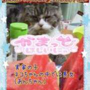 ヒメ日記 2025/07/18 11:52 投稿 木戸（きど） 西川口デッドボール