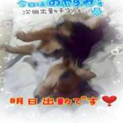 ヒメ日記 2025/07/26 09:20 投稿 木戸（きど） 西川口デッドボール