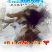 ヒメ日記 2026/03/17 09:21 投稿 木戸（きど） 西川口デッドボール