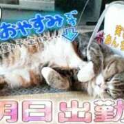 ヒメ日記 2026/04/08 09:08 投稿 木戸（きど） 西川口デッドボール