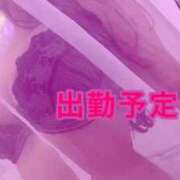 ヒメ日記 2025/03/30 23:56 投稿 あん 変態なんでも鑑定団
