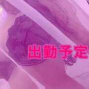 ヒメ日記 2026/05/17 09:56 投稿 あん 変態なんでも鑑定団