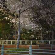 ヒメ日記 2025/04/01 18:22 投稿 あん ミセス大阪十三店